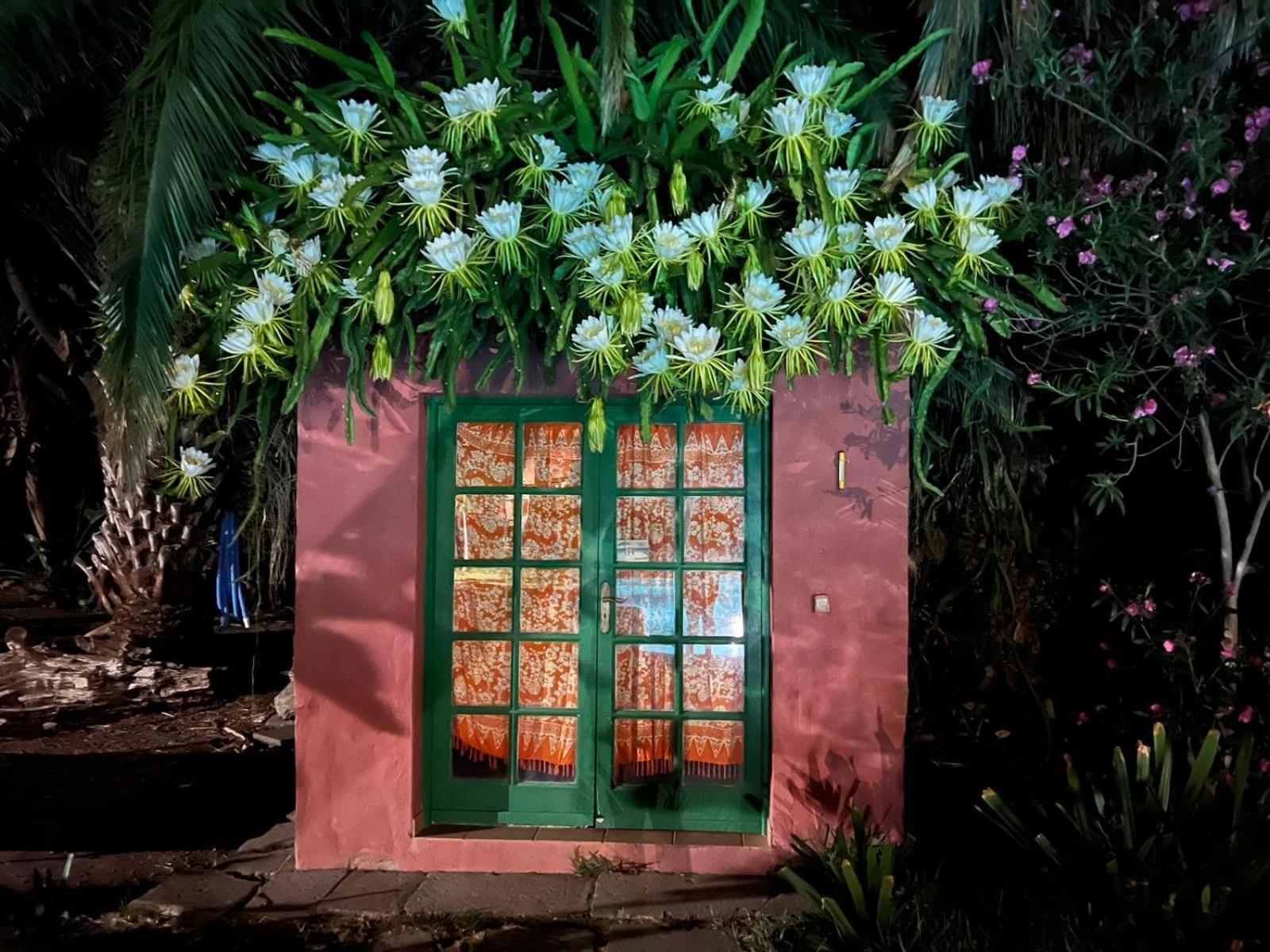 הוילה אגאטה La Casa Del Molino De Viento מראה חיצוני תמונה