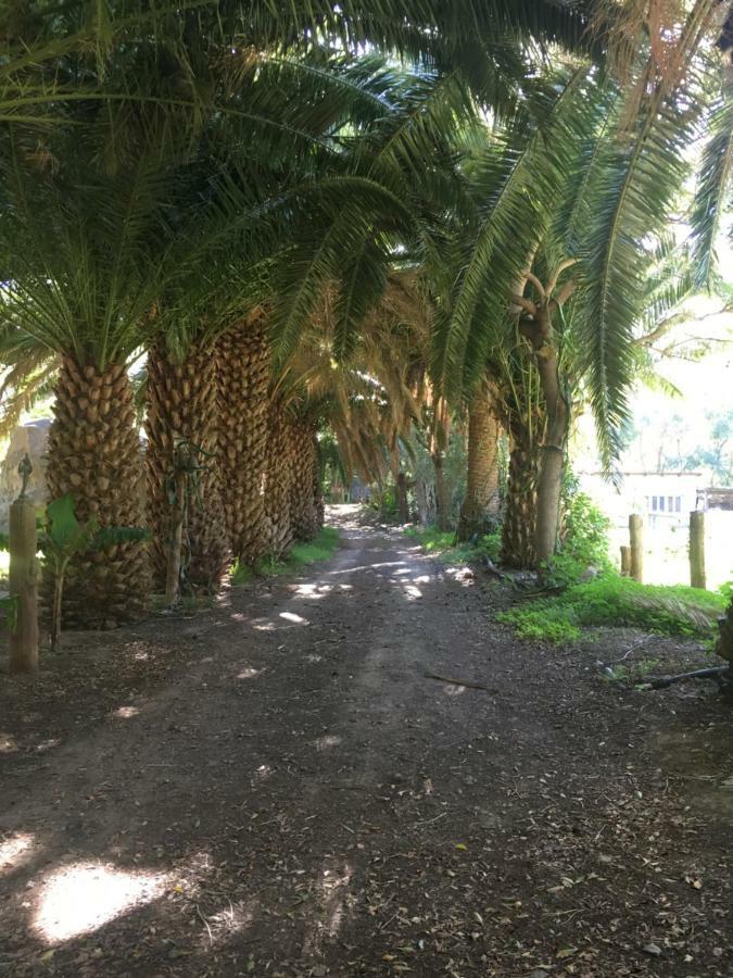 הוילה אגאטה La Casa Del Molino De Viento מראה חיצוני תמונה