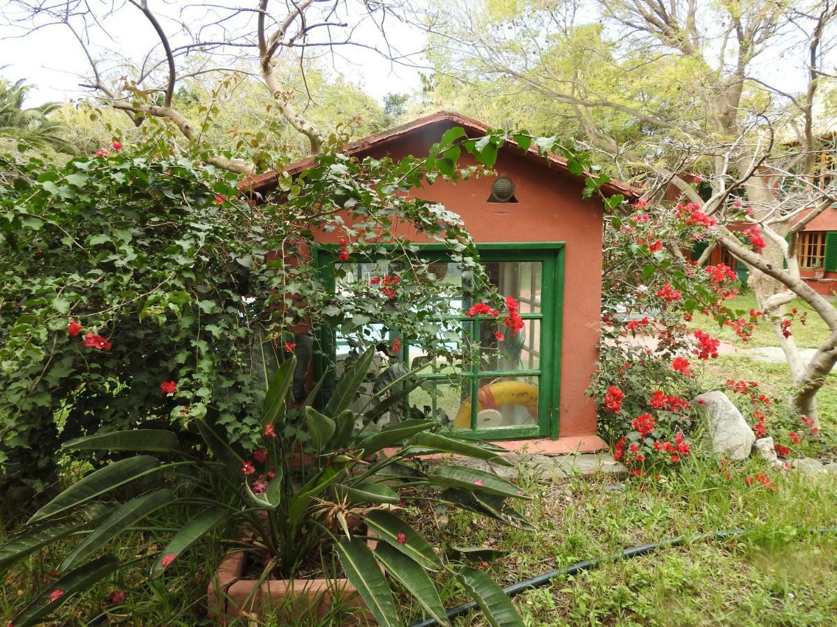 הוילה אגאטה La Casa Del Molino De Viento מראה חיצוני תמונה